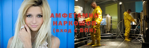 стаф Алзамай