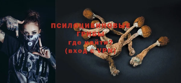 героин Алексин