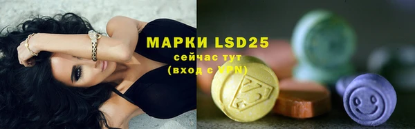 стаф Алзамай