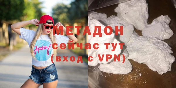 стаф Алзамай