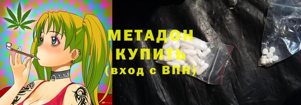 стаф Алзамай