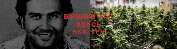 героин Алексин