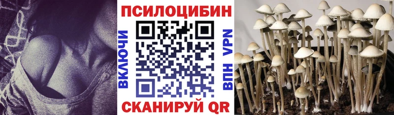 Псилоцибиновые грибы Cubensis  Фурманов 