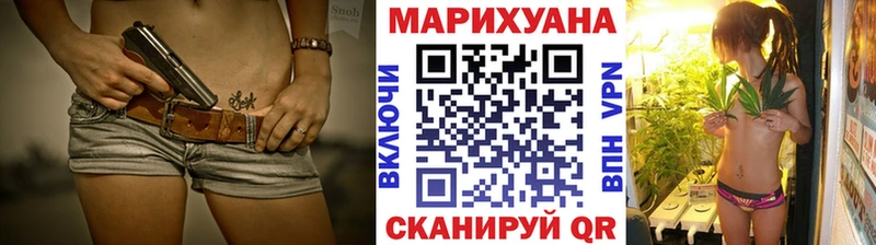 где купить   Фурманов  Канабис конопля 